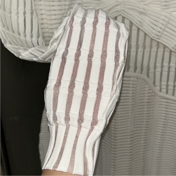 Herve Leger white Shadow
Stripe Dress - Picture 5 of 9